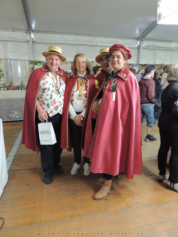 Toulon Bacchus 2019 (8).JPG -           